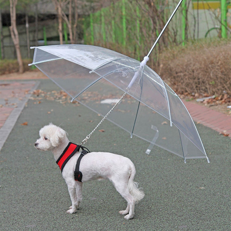 Puppy umbrella best sale