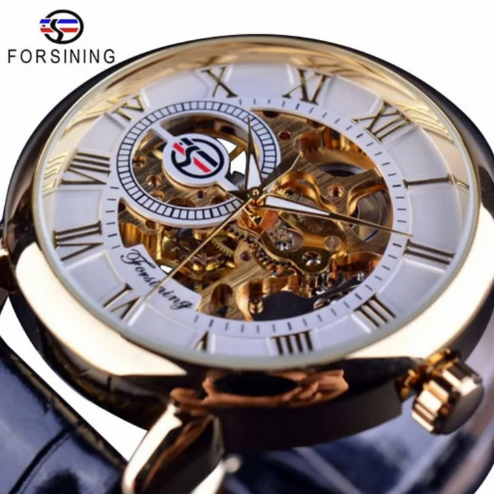 Forsining Luxury Watch